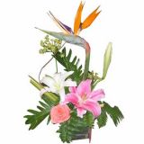 齭ʻٵ