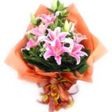 齭ʻٵ