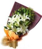 齭ʻٵ
