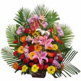 齭ʻٵ