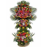齭ʻٵ